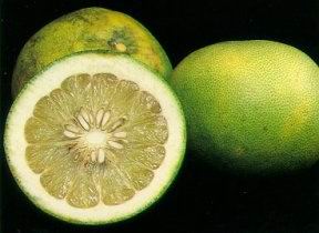 Pomelo