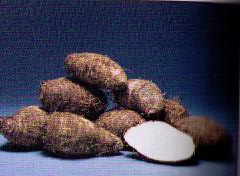 Taro