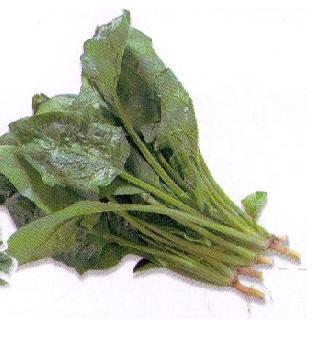 Spinach