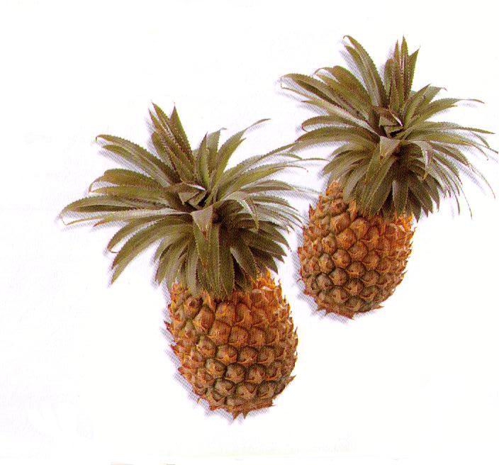 Pineapple