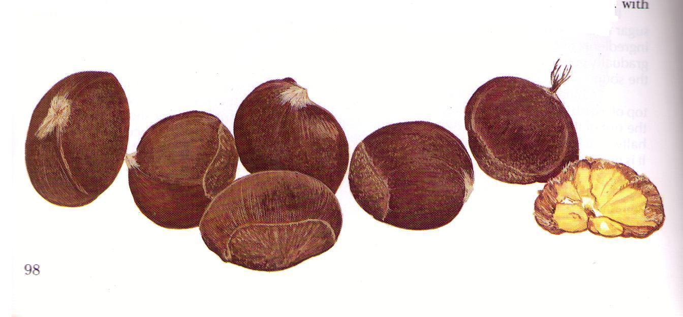 Chestnut